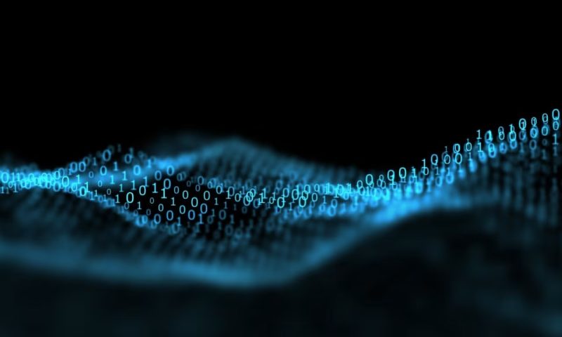 贡山软件开发公司：Bash脚本在大规模软件开发中的适配性剖析
