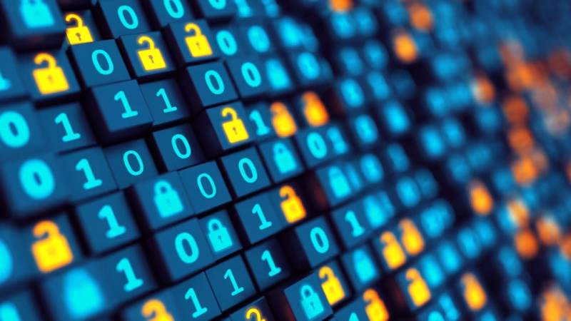 贡山软件开发：以硬核实力，筑工业数字基石